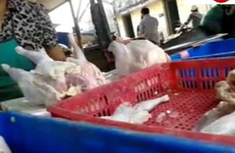 Thịt gà ươn chảy để cả năm vẫn đắt hàng